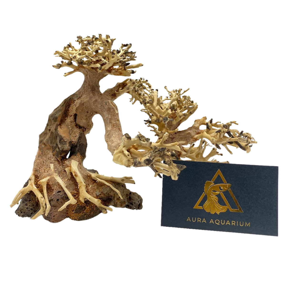 Bonsai Driftwood 20 X 15 X 8 Aura Aquarium