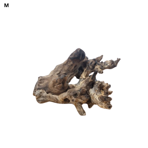 Coral Driftwood