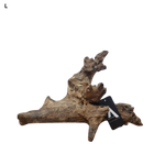 Load image into Gallery viewer, Coral Driftwood
