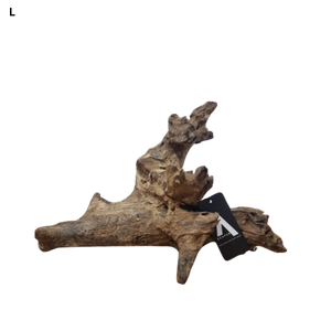 Coral Driftwood