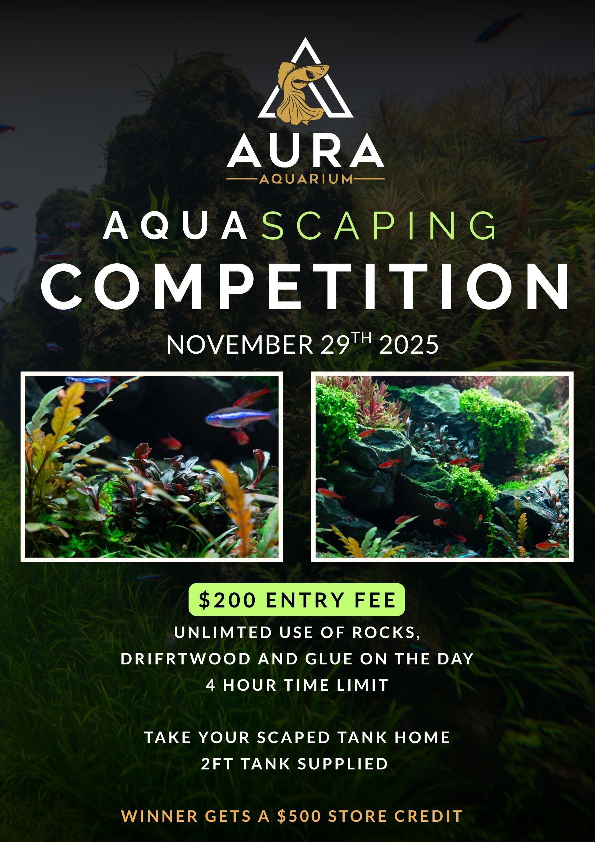 Aquascaping Contest 29/11/2025
