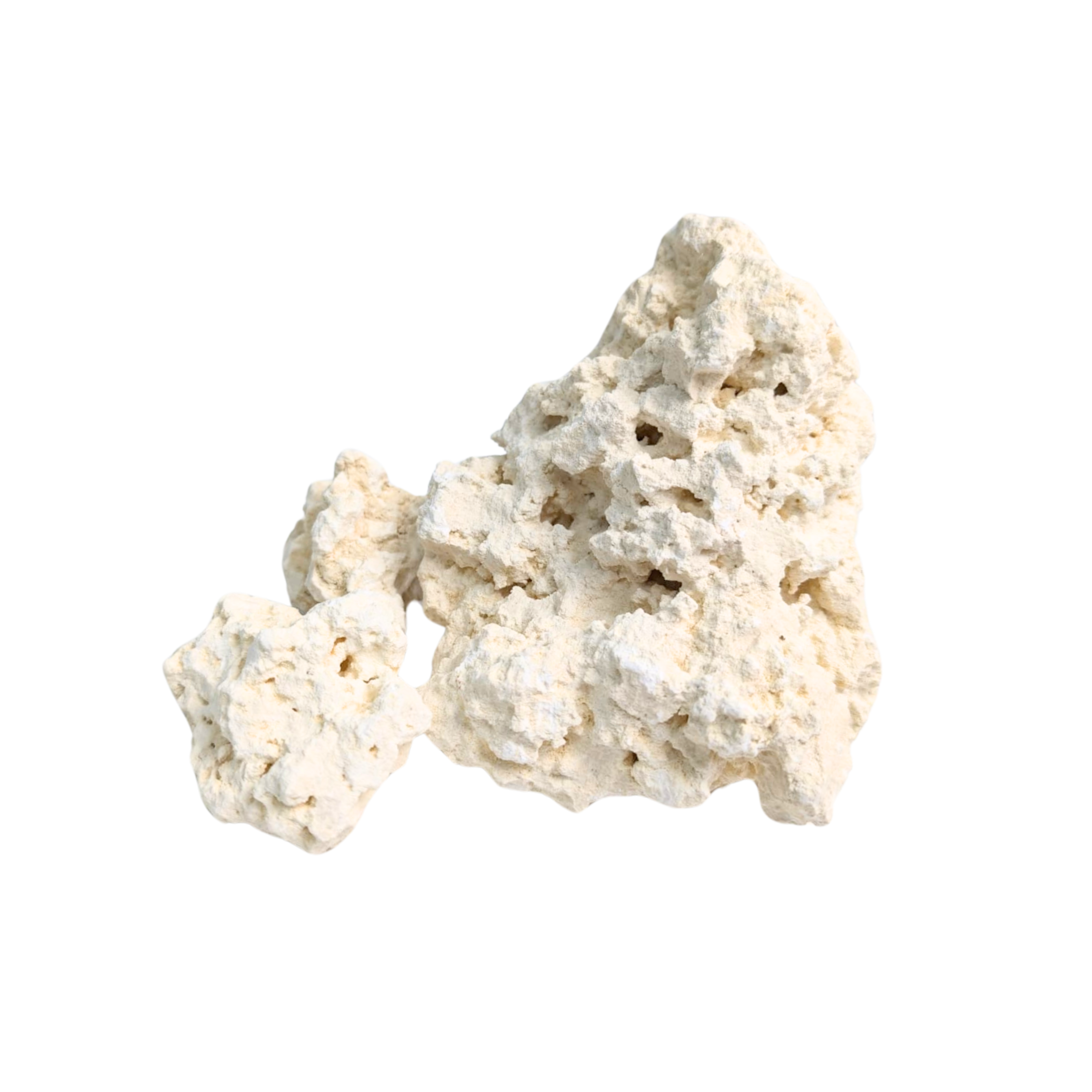 Marine Rock