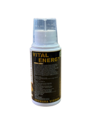 Load image into Gallery viewer, Absolute Vital Energy Vitamin – 500ml

