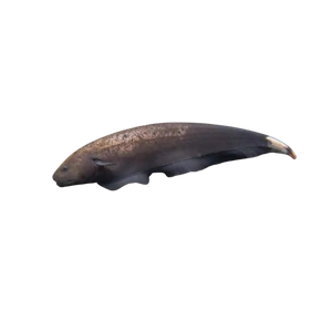 Marble Ghost Knife