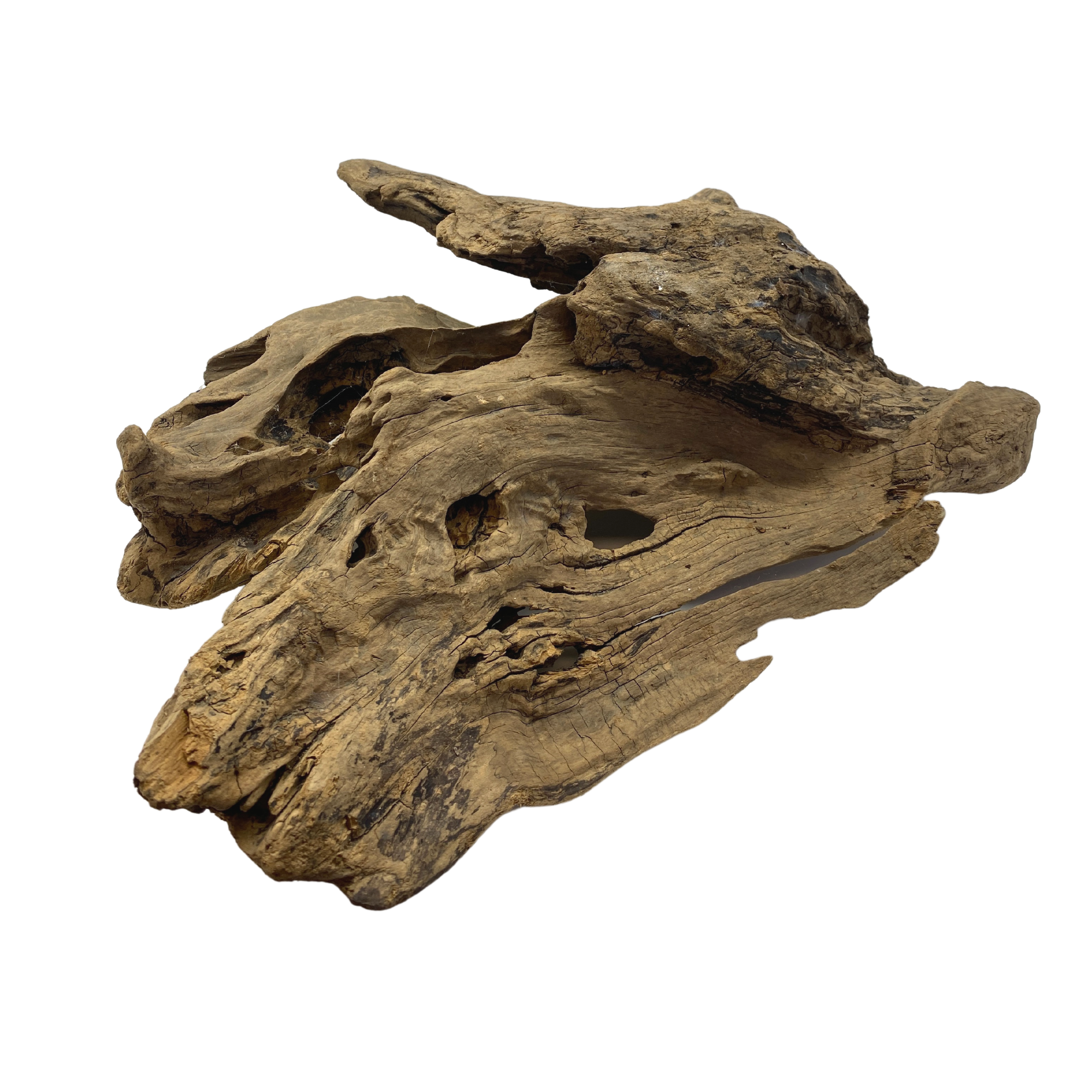 Large Centrepiece DriftWood