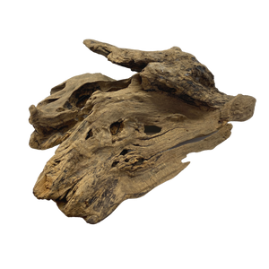 Large Centrepiece DriftWood