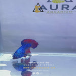 Load and play video in Gallery viewer, BI-COLOUR HMPK BETTA
