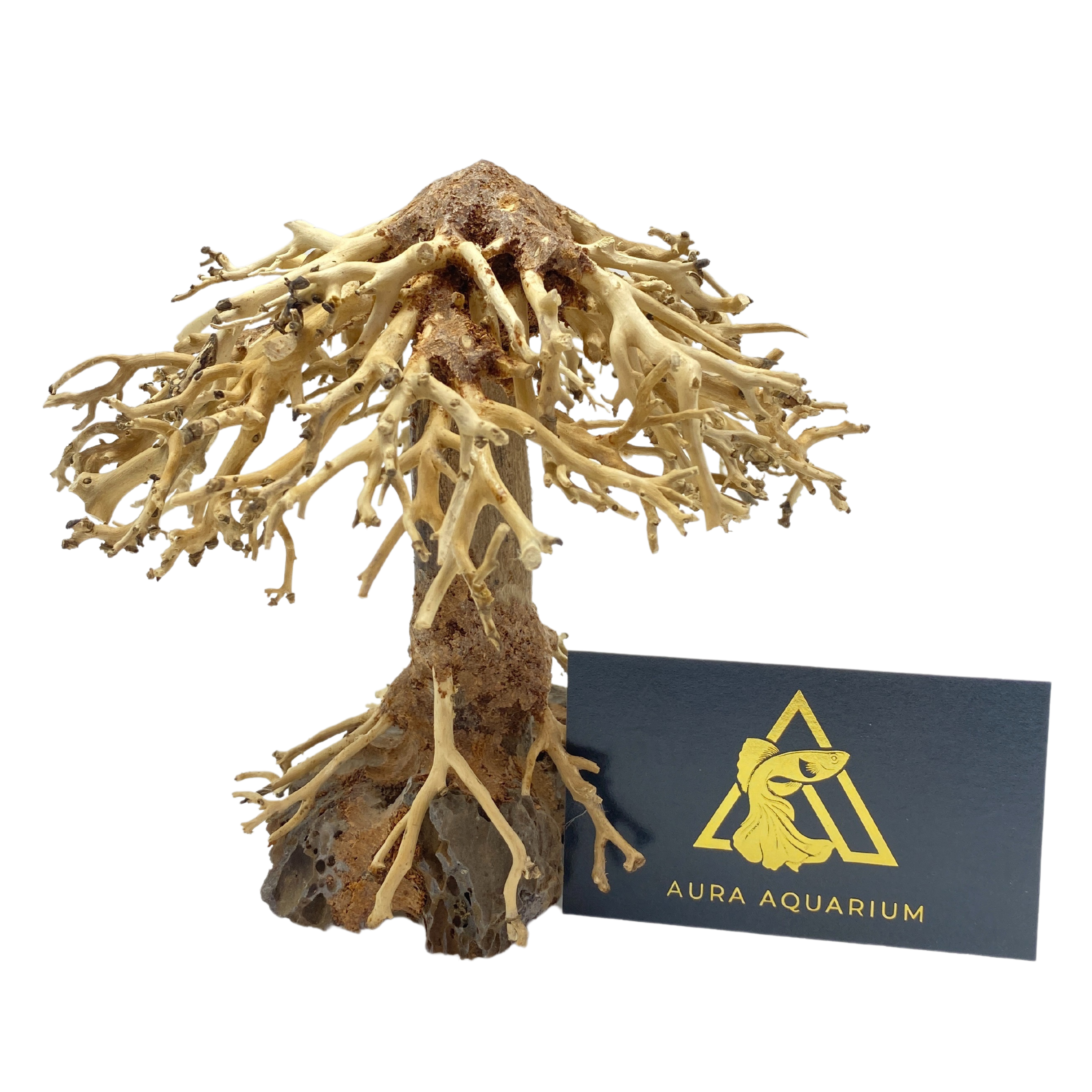 Bonsai Driftwood 15 X 16 X 10