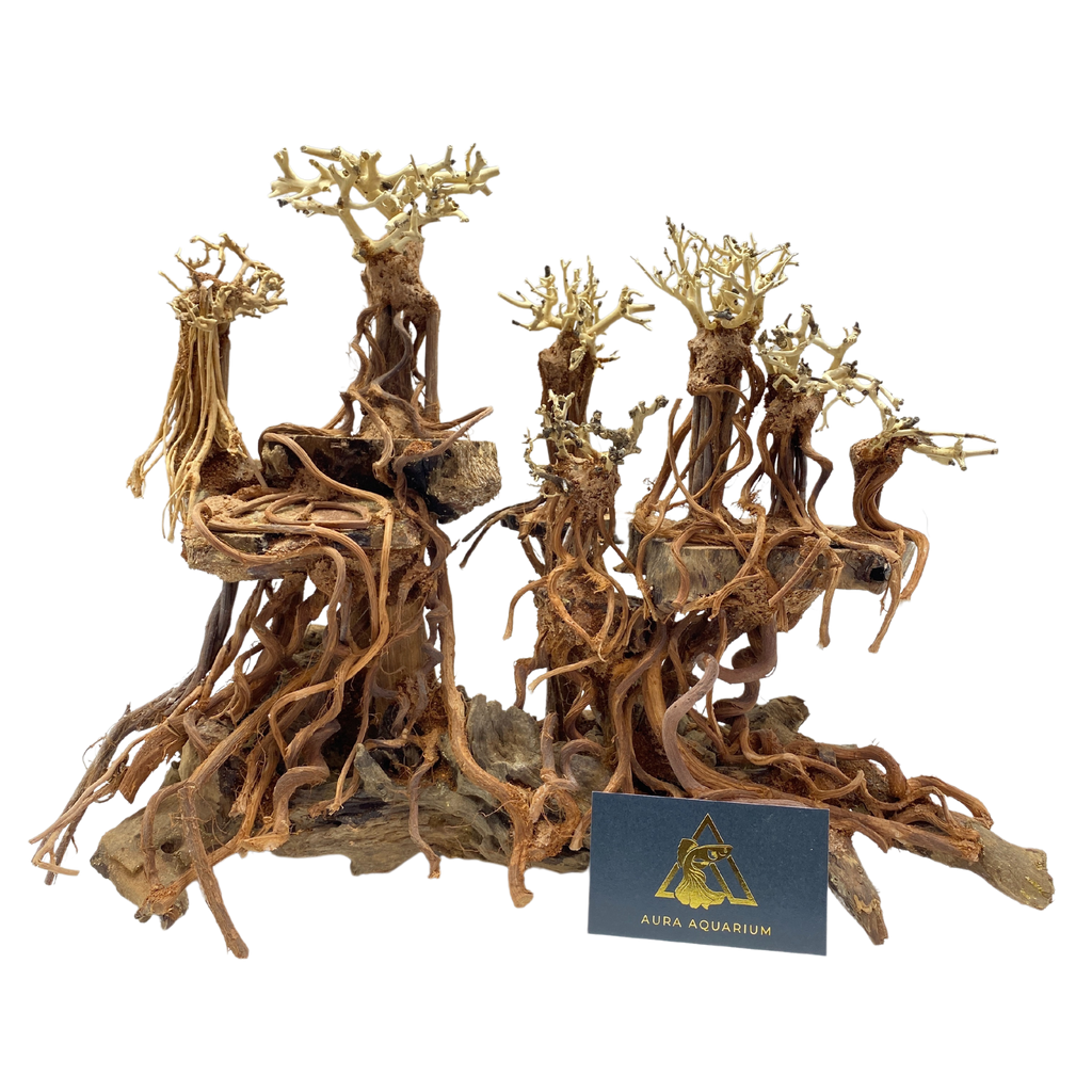 Bonsai Driftwood 40 X 30 X 30 Aura Aquarium