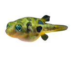 Load image into Gallery viewer, Pea Puffer Fish
