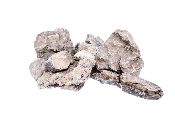 Seiryu Stone (high quality)