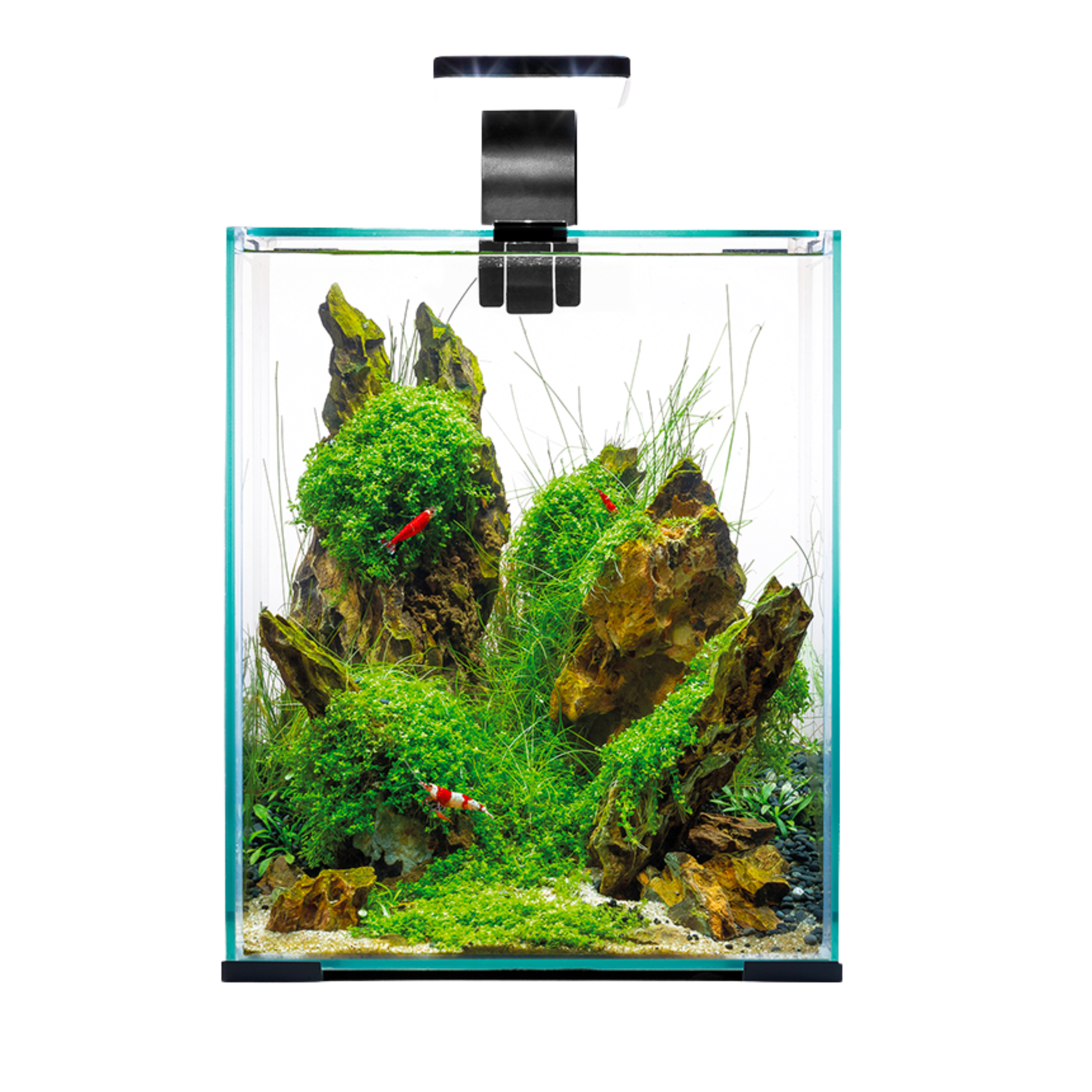 AQUAEL SHRIMP DAY & NIGHT TANKS
