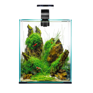 AQUAEL SHRIMP DAY & NIGHT TANKS