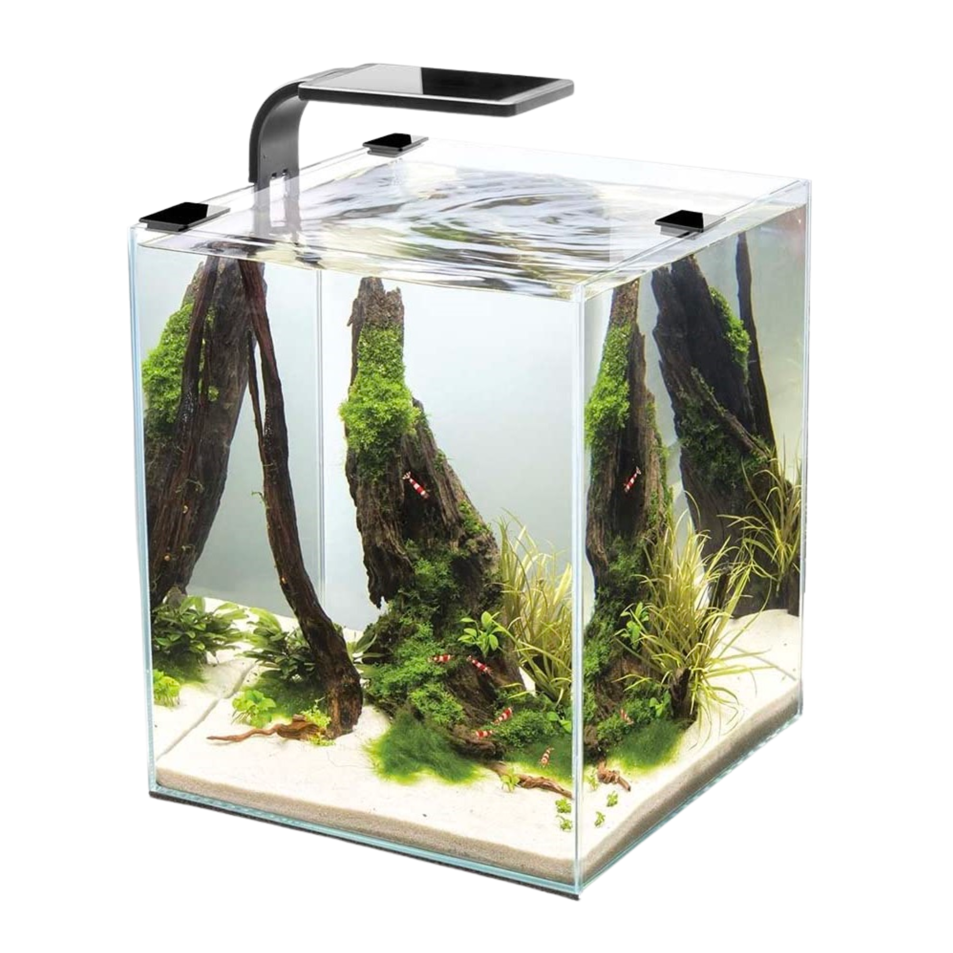 AQUAEL SHRIMP DAY & NIGHT TANKS