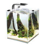 Load image into Gallery viewer, AQUAEL SHRIMP DAY &amp; NIGHT TANKS
