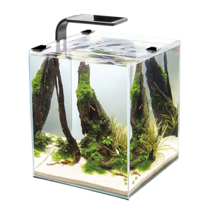 AQUAEL SHRIMP DAY & NIGHT TANKS