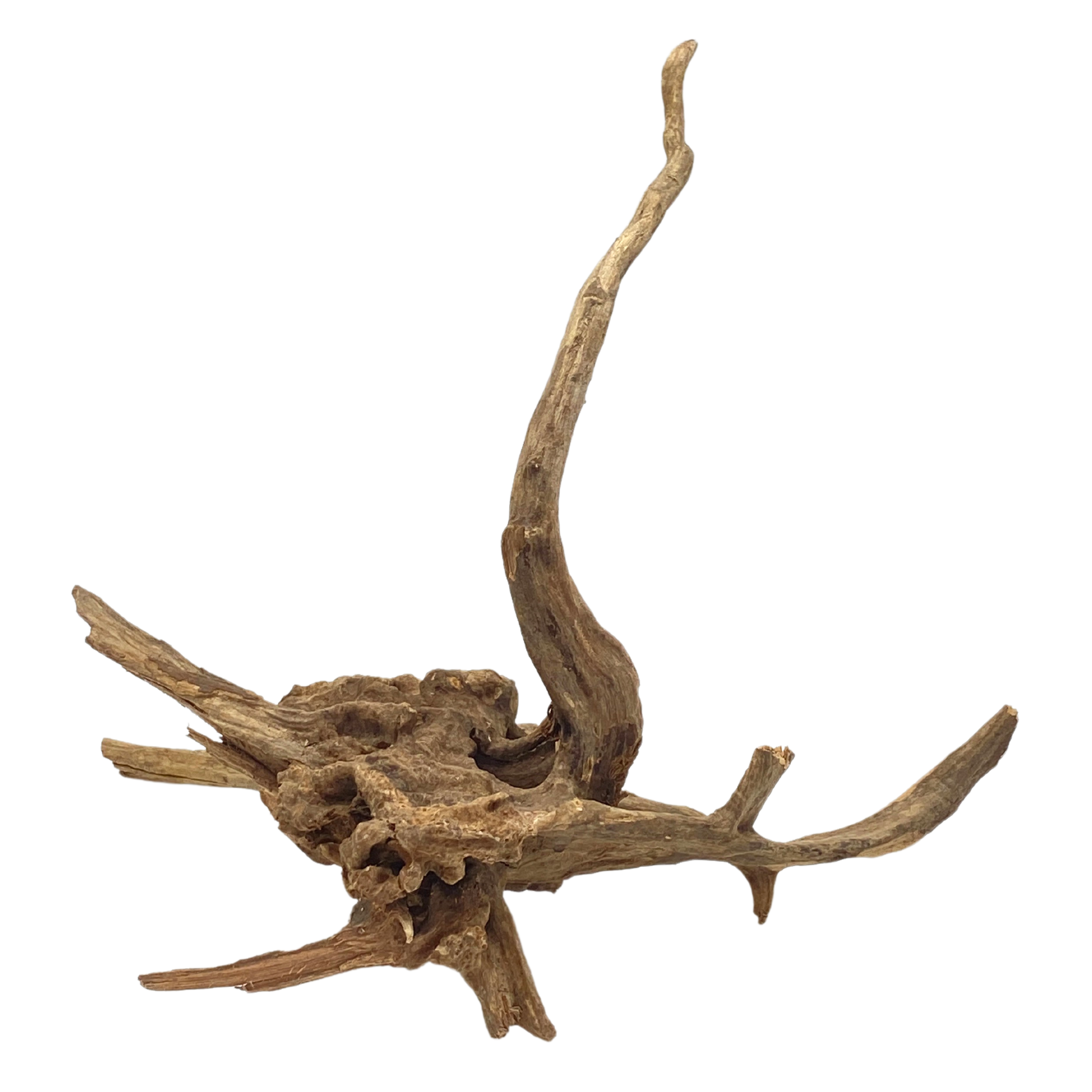 Medium Heavy Sinking Wood
