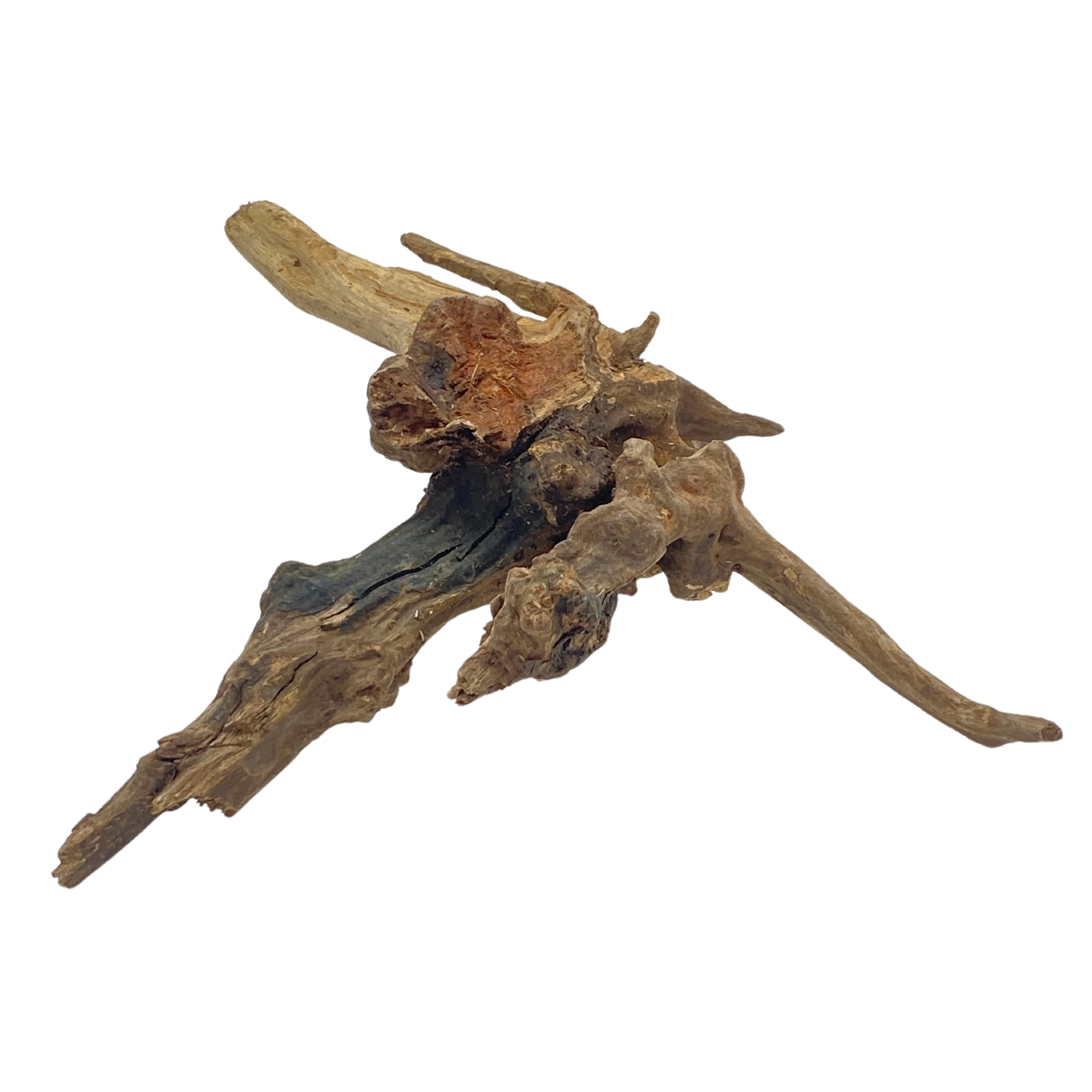 Medium Heavy Sinking Wood